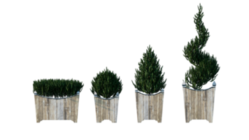 Set of beautiful plant pots png