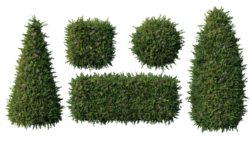 Set of beautiful hedge for illustration png