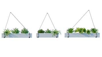 Set of beautiful hang plants png