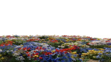 mooi gras en bloemen landschap png