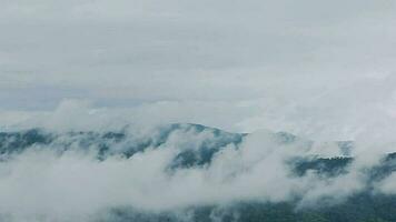 montanha alcance com visível silhuetas através a manhã colorida névoa. video
