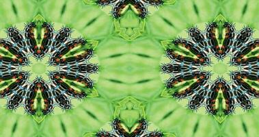 4K Mandala Background. Animation of geometric ethnic patterns. Arabic illustration ornaments. Background Kaleidoscope Abstract. vector