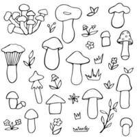 mushroom doodle collection vector