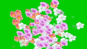 animated video of flowers scattered on a green background.