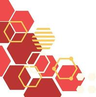 abstract hexagon background vector