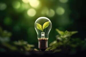 Clean Energy Sustainable, Renewable, Eco Friendly Green Leaf Light Bulb. photo