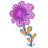 The beauty of flowers in the world png