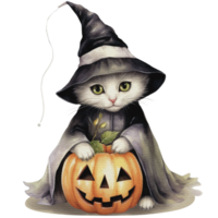 Watercolor halloween cat in witch costume and hat with pumpkin png, AI generative png