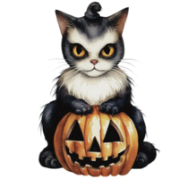 Watercolor halloween cat in witch costume and hat with pumpkin png, AI generative png