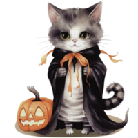 Watercolor halloween cat in witch costume and hat with pumpkin png, AI generative png