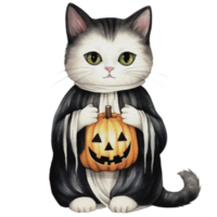 Watercolor halloween cat in witch costume and hat with pumpkin png, AI generative png