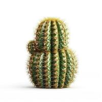 cactus en blanco antecedentes. generativo ai foto