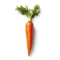 Carrots on white background. photo