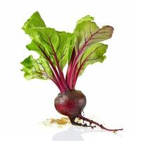 Beet on white background. photo