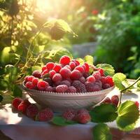 Raspberry in a bowl on garden background. photo