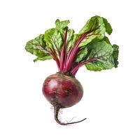 Beet on white background. photo