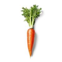 Carrots on white background. photo