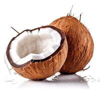 Coconut on white background. photo