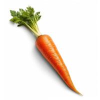 Carrots on white background. photo
