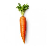 Carrots on white background. photo