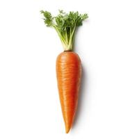 Carrots on white background. photo