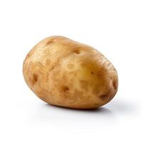 Potato on white background. photo