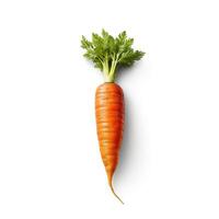 Carrots on white background. photo