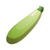 Vector illustration with vegetable marrow