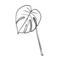 Line art vector illustration with tropical leaf