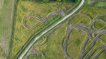 Aerial rotating view paddy field of trace tractor in beauty pattern video