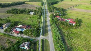 Aerial move over asphalt road in rural village Sungai Acheh, Penang video