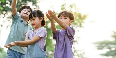 group image of cute asian children playing in the park photo