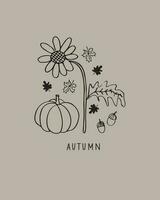 Autumn template with pumpkins, sunflowers, fall leaves, oak nuts. Vector illustration of autumn mood in boho style for banner, greeting card, polygraph, label, print, poster. Hand drawn with ink