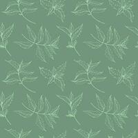 Seamless pattern with Mint plant hand drawn vector illustration. Repeating background with spearmint, flavor plant, nature motif. Decorative ornament with peppermint tea , boho style design element