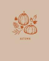 Autumn template with pumpkins,fall leaves, oak nuts and text Autumn. Vector background illustration of autumn mood for banner, greeting card, polygraph, label, print, poster. Hand drawn with engraving