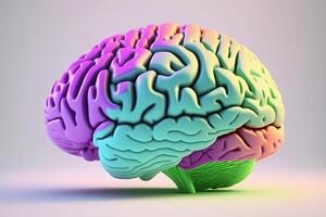 Colorful 3d human brain, isolated on a simple background. photo