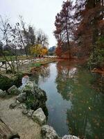 otoño paisaje con estanque y caído hojas en el parque. naturaleza antecedentes foto