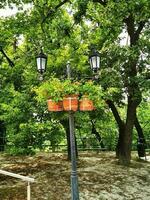 Lanterns in the park in the center of the city photo