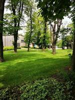 Green lawn in the park with trees and grass on the ground. photo