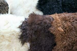 Sheepskin on the counter. Sale of sheep's clothing and mouton photo