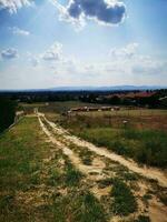 Country road in the countryside. Rural landscape with dirt road and village photo