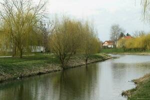 Szeged with the Maros coast photo