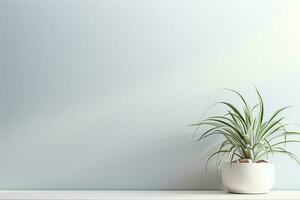 Indoor Houseplant of a Spider Plant in Pot with Space on White Wall Background photo