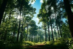 naturaleza ver de arboles en bosque naturaleza ambiente con luz de sol en azul cielo foto