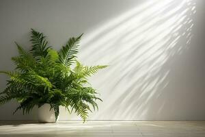 decoración de un bostón helecho planta en blanco pared antecedentes con luz de sol desde el ventana foto