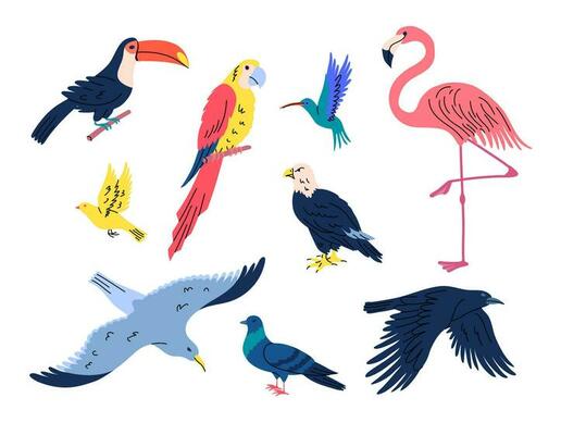 Cartoon Color Different Flying Birds Set. Vector
