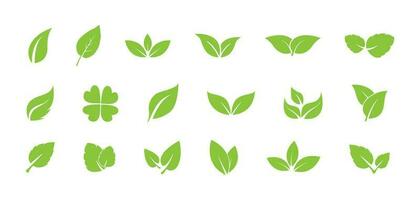 green leaf ecology nature element vector icon. leaf icon vector design template simple and clean