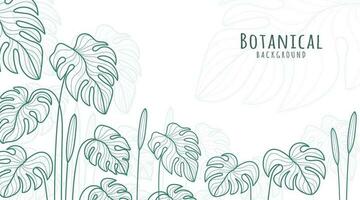 Botanical Line Art Background, Botanical Background, Leaves and Flower Background vector