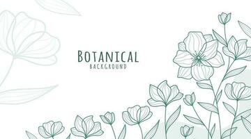 Botanical Line Art Background, Botanical Background, Leaves and Flower Background vector