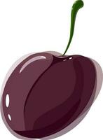 Purple plum with green tail in watercolor style with highlights and shadows. Vector. Isolated vector